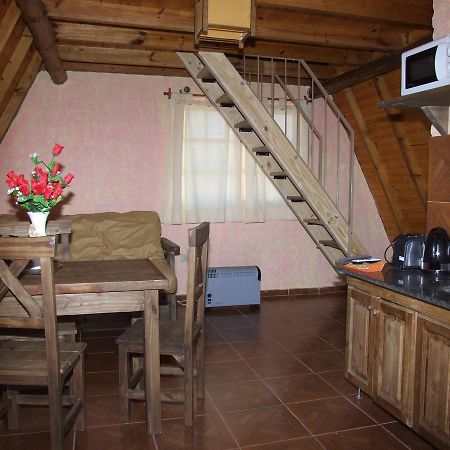 Cabanas Wenelcklen Uspallata Luaran gambar